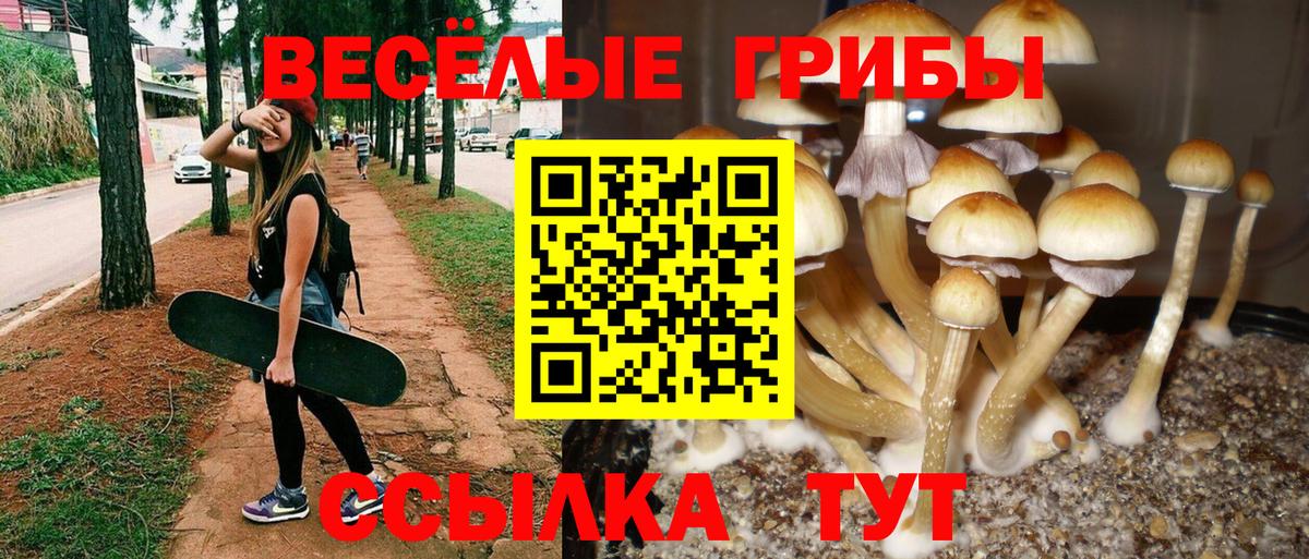 Галлюциногенные грибы ЛСД Рыбинск